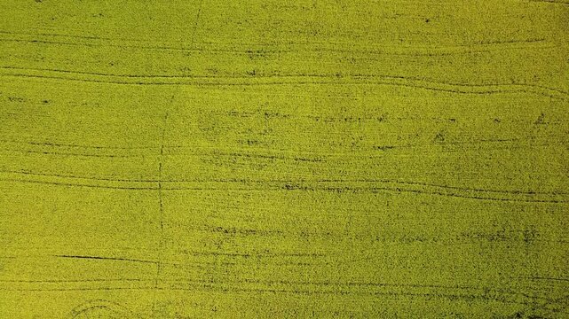 Parallel lines left by tractor tracks are visible across the farmland, alongside the gentle movement of cloud shadows drifting over the fields on a sunny day.