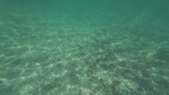 Underwater sea bottom with sunlight reflections
