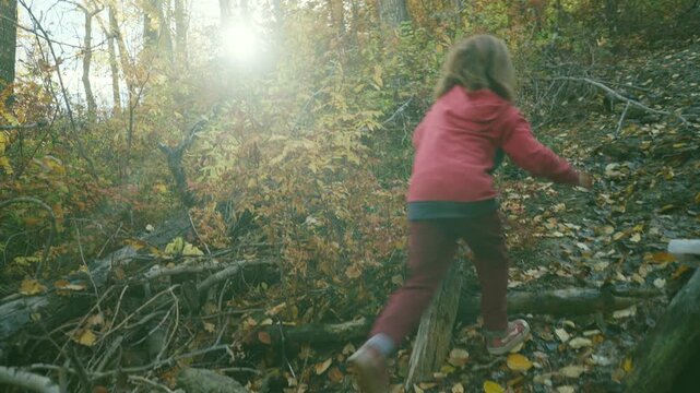Boy stepping over fallen logs near an autumn forest stream with golden lens flare