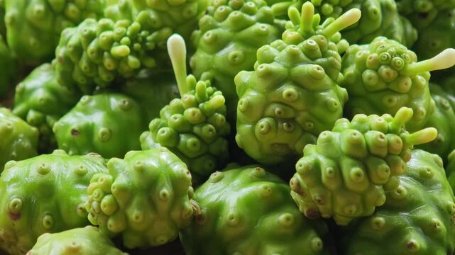 Noni has medicinal properties