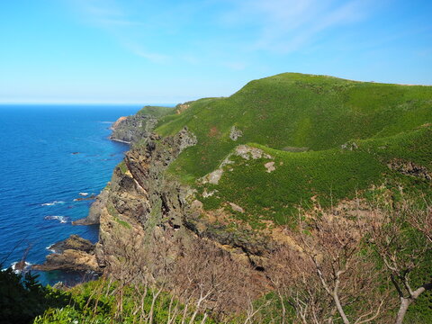 千鳥ヶ浦園地の海鳥観察舎からの風景