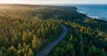 Fototapeta premium Aerial coastal road winding through lush green forest by the ocean at sunrise