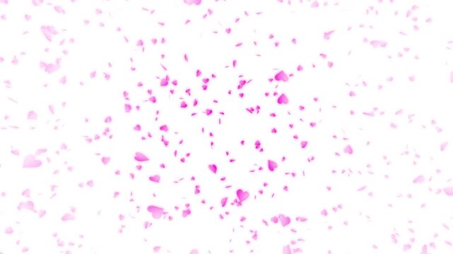 Pink heart shapes being lit up and falling down on white background. Abstract background for Happy Valentine's day and wedding ceremony.