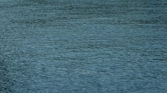 Complex ripples and flowing patterns on the water surface
