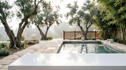 Fototapeta premium Serene Garden with Olive Trees and Water Feature for Web Design