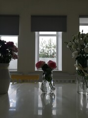 Fototapeta premium flowers in a window