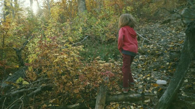 Boy stepping over fallen logs near an autumn forest stream with golden lens flare