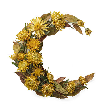 Crescent moon floral arrangement with yellow strawflower Helichrysum bracteatum and autumn leaves on a transparent background