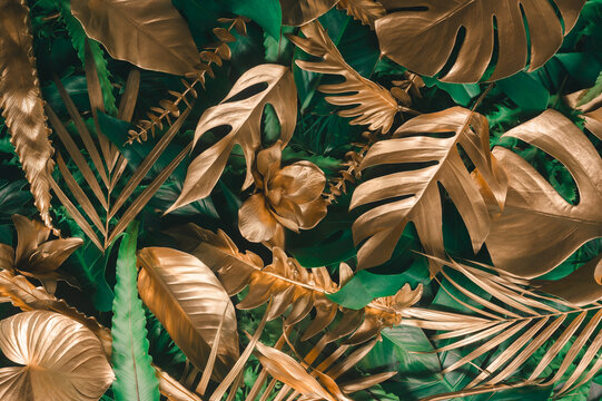 Creative nature background. Gold and green tropical Monstera and palm leaves. Minimal summer abstract jungle or forest pattern.	
