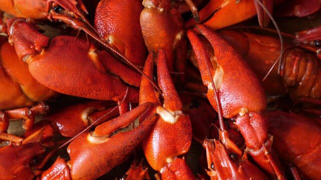 Boiled or steamed crawfish
