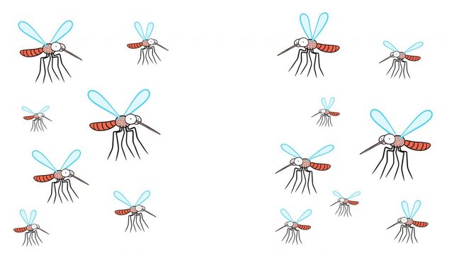 Flock of 2D cartoon mosquitoes flying on isolated white background. Animated insect swarm loop for pest control, summer outdoor warnings and medical graphics.