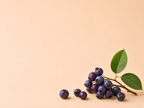 Fresh Berries Background - Saskatoon Berry. Fresh serviceberries arranged on a light beige background with green leaves, showcasing their vibrant color and natural texture