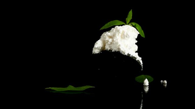 Natural dairy curd with green herb on elegant black background