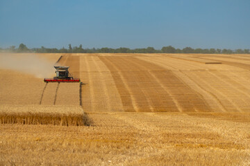 Naklejka premium Modern combine harvester working in a vast golden wheat field during harvest season at sunset
