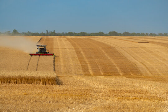 Modern combine harvester working in a vast golden wheat field during harvest season at sunset