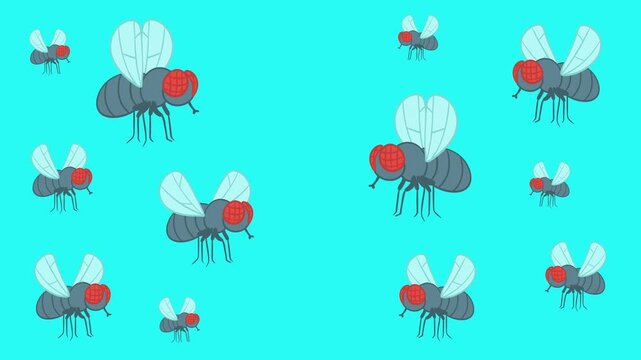 Swarm of 2D cartoon flies flying on bright blue cyan background. Animated insect cloud loop for pest control ads, hygiene awareness and summer infestation concepts.