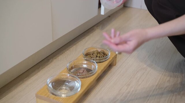 woman pouring dry cat food into glass bowl on wooden stand. owner preparing bowl with kibble and calling hungry cat to dinner. concept of bowl care and daily pet feeding routine at home