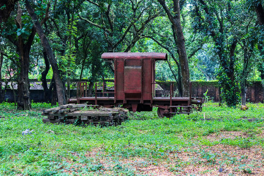 Abandoned Red Railway Caboose Carriage Surrounded by Forest Trees