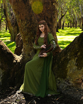 full length portrait of beautiful female model, sitting figure playing musical harp instrument, wearing green medieval historical gown costume with cloak. Magical forest background with trees.