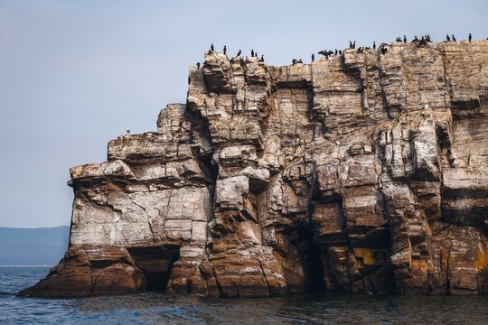 Rocky island formation with great cormorant colony above calm water on Lake Baikal, Siberia
