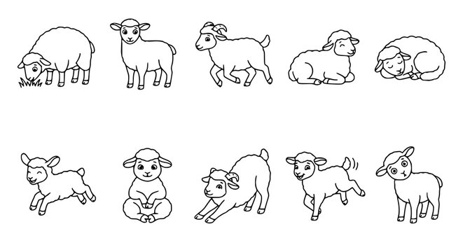 Black and white sheep and lamb outline vector set featuring diverse farm animal poses for children's coloring books