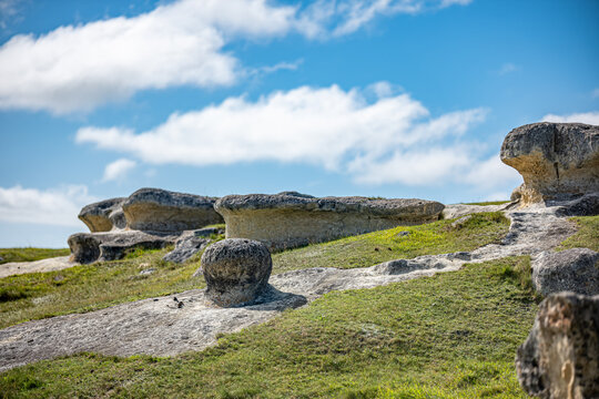 Elephant Rocks verwitterte Kalksteinfelsen auf gruener Weide bei Duntroon Neuseeland