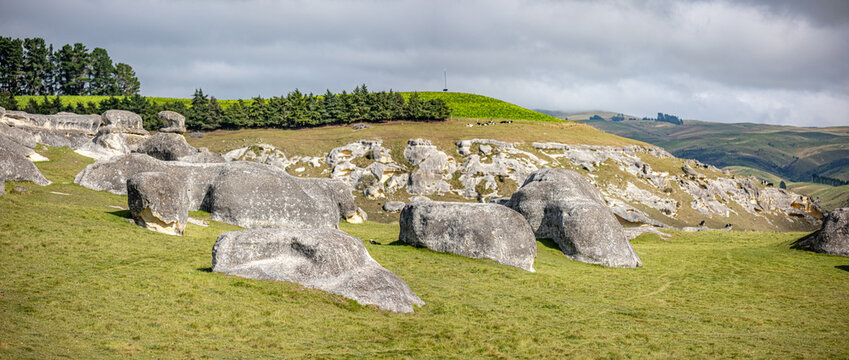 Elephant Rocks verwitterte Kalksteinfelsen auf gruener Weide bei Duntroon Neuseeland