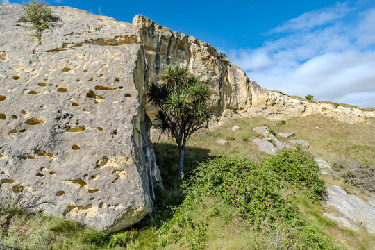 Kalksteinklippen der Earthquakes Formation mit Sonnenstern bei Duntroon Neuseeland