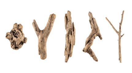 Fototapeta premium Natural Driftwood Pieces Isolated on Transparent Background