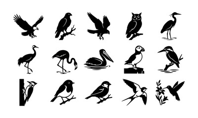Naklejka premium Set of various wild bird silhouettes in black and white vector graphic style