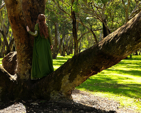 full length portrait of beautiful female model, standing figure back view,  wearing green medieval historical gown costume with cloak. Magical forest background with trees.