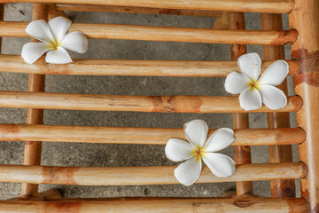 Top view of  frangipani flowers on rattan or bamboo background,detailed craftsmanship and pattern,wooden chair and table,scandinavian style. © wanatithan