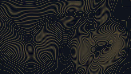 Lake of the Woods Minnesota Topographic Elevation Map Vector Background © Auras