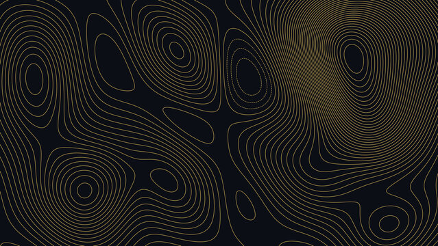 Rehoboth Bay Delaware Topographic Elevation Map Vector Background