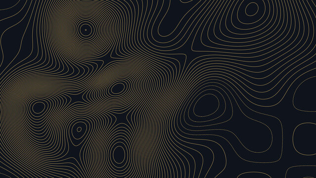 Indian River Bay Delaware Topographic Elevation Map Vector Background