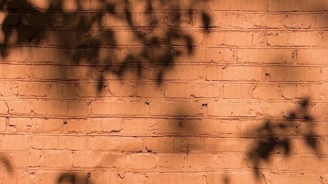Warm sunlit brick wall texture with dappled tree leaf shadows, orange terracotta background