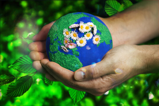 Human hands holding a handcrafted blue and green planet Earth globe decorated with white daisy flowers on a lush green foliage background, representing environmental protection, conservation