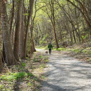 older man walking with a dog in a forest in springtime - Steamboat Trace Trail near Peru, Nebraska