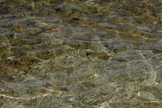 Clear stream water ripples over smooth pebbles and stones, creating a natural textured pattern of light and reflection on the riverbed.