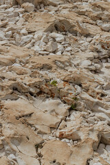 Rough white limestone rocks form a rugged, cracked terrain with a small green plant sprouting between the stones. © Ivanka