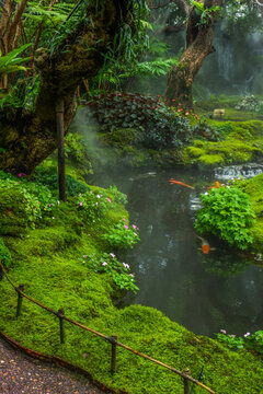 Tranquil river scene with mossy rocks and morning mist in forest,dreamlike atmosphere in the woods,waterfall in nature rainforest concept.