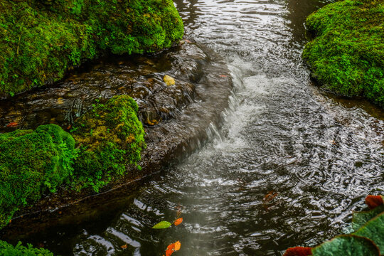 Tranquil river scene with mossy rocks and morning mist in forest,dreamlike atmosphere in the woods,waterfall in nature rainforest concept.