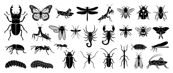 Fototapeta premium Collection of Black Insect Silhouettes on Transparent Background