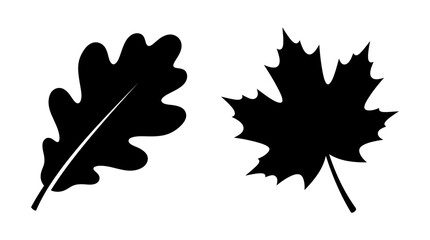 Fototapeta premium Two leaf silhouettes against a white background showcase botanical forms silhouette