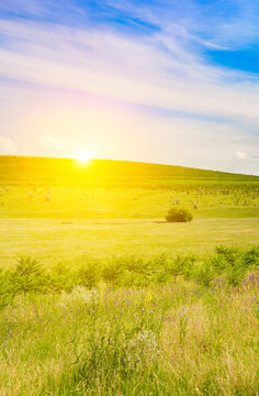 Countryside rural environment with beautiful green hills and fields at morning sun