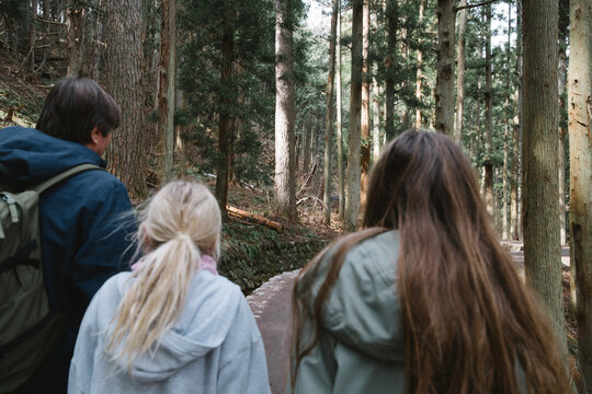 Family walking in a dense forest
