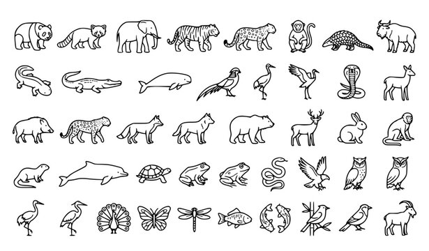 China Native Animals Linear Icon Set &ndash; Panda, Elephant, Tiger and Wildlife Editable Stroke