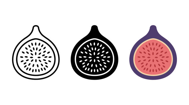 Set of fig fruit icons in line, solid, and color styles for food graphic design