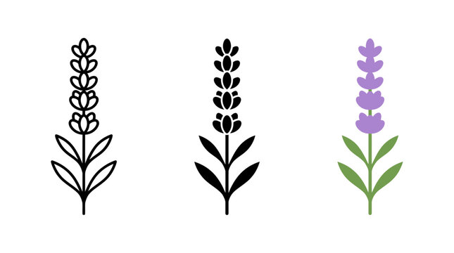 Single lavender flower stem icon set in outline solid and colored styles with lavender