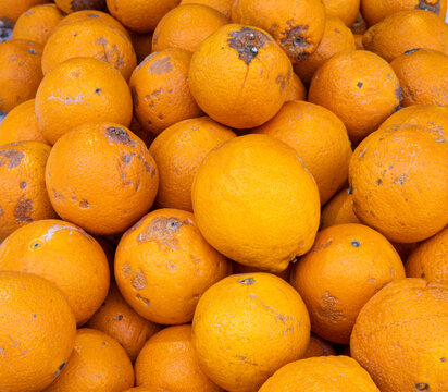 Bulk pile of ripe organic eco bio oranges at a street market stall in a sunny location
